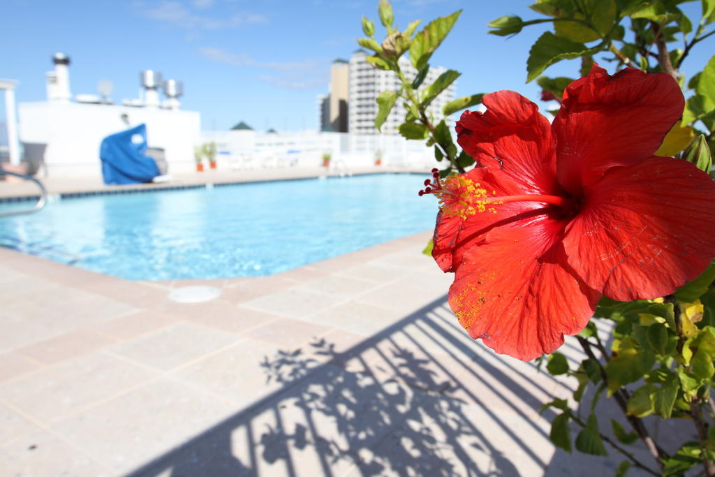 Princess Bayside Beach Hotel Ocean City Exterior photo