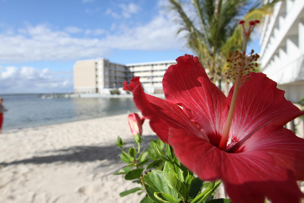 Princess Bayside Beach Hotel Ocean City Exterior photo