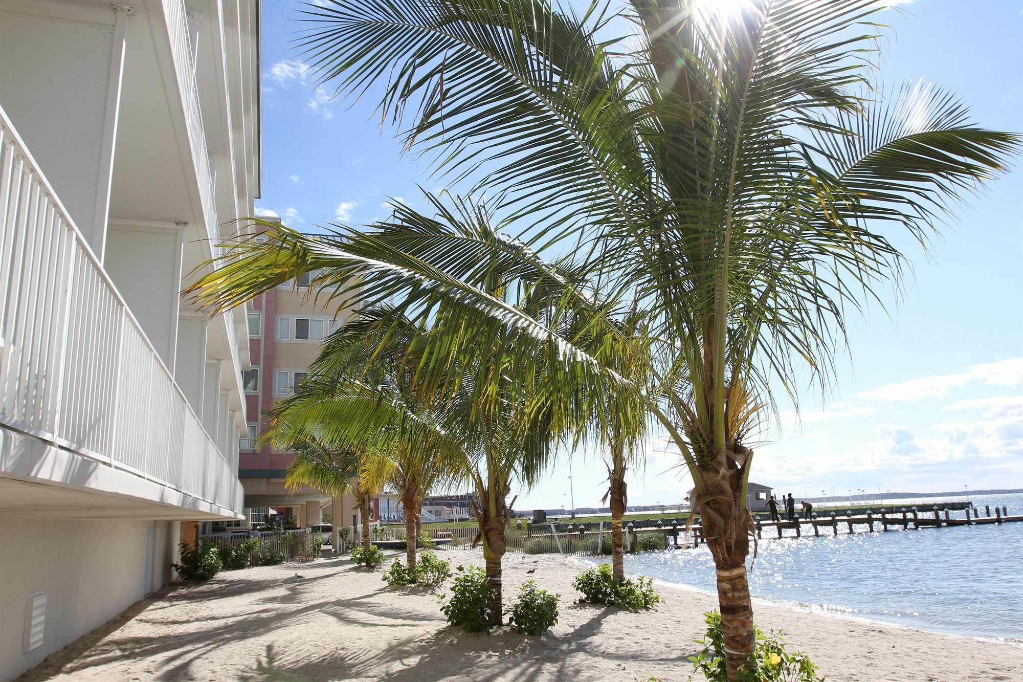 Princess Bayside Beach Hotel Ocean City Exterior photo